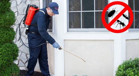 Yenişarbademli Kene İlaçlama böcek ilaçlama ve haşere kontrolü — ilaclama-tr.com